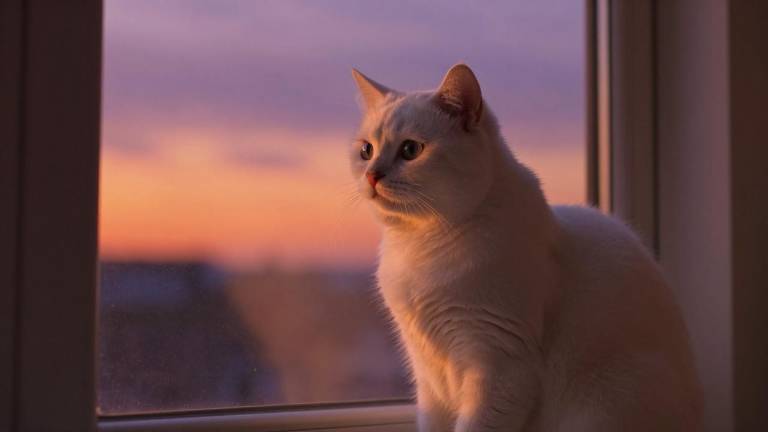 河钢集团党委部署开展树立和践行正确政绩观学习教育工作